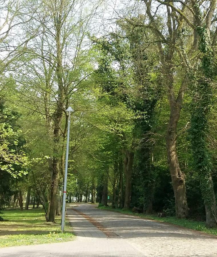 Ferienwohnung "Am Schlosspark" Neetzow Eksteriør billede
