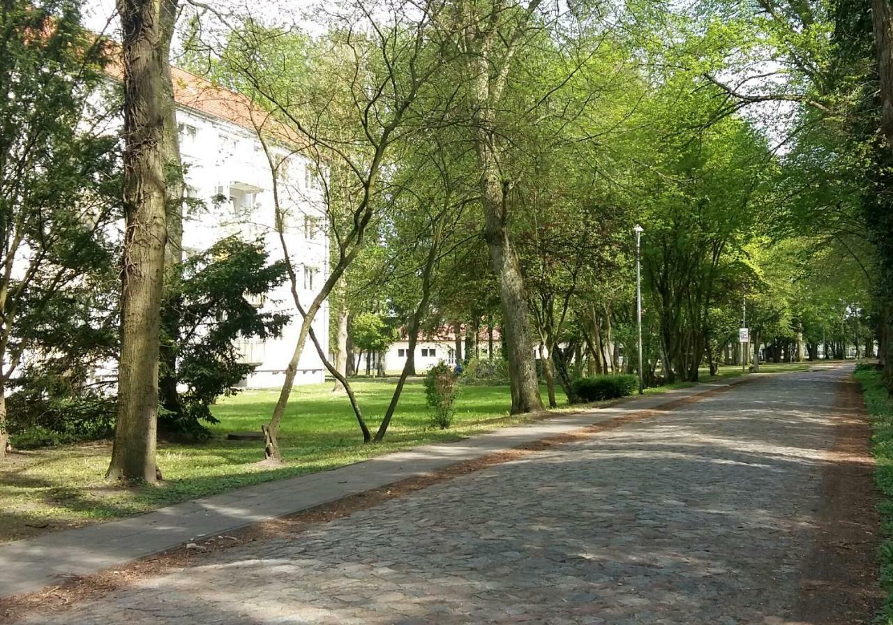 Ferienwohnung "Am Schlosspark" Neetzow Eksteriør billede